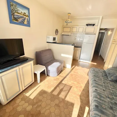 公寓 Avec Terrasse Et Parking, Climatise - Fr-1-716-43